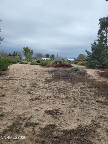 1575 Shirley Street, Minden, NV 89423