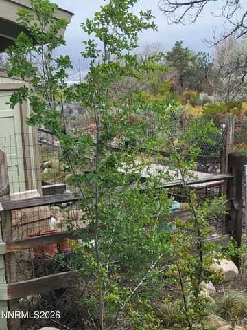 1575 Shirley Street, Minden, NV 89423