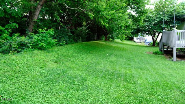 1105 Kennesaw Drive, Gray, TN 37615