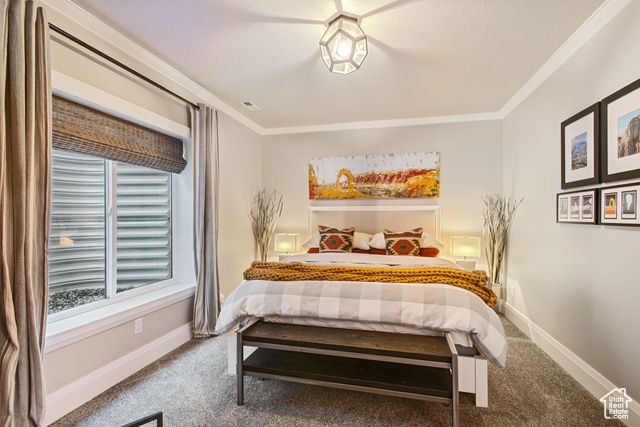 10924 S PADDLE BOARD WAY, South Jordan, UT 84009