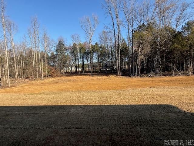 45 Ules Watson Drive, Greenbrier, AR 72058