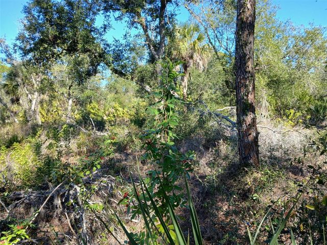 13493 MARKHAM AVENUE, Port Charlotte, FL 33953