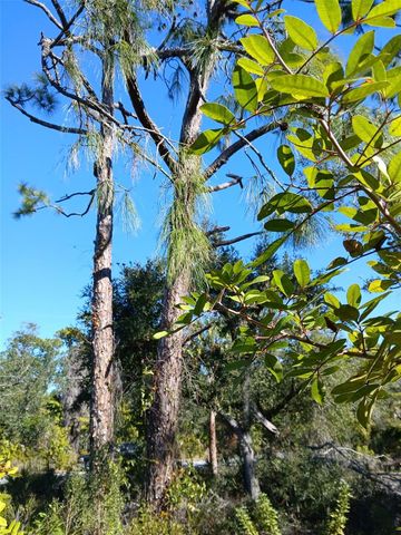 13493 MARKHAM AVENUE, Port Charlotte, FL 33953