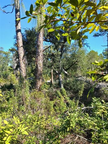 13493 MARKHAM AVENUE, Port Charlotte, FL 33953