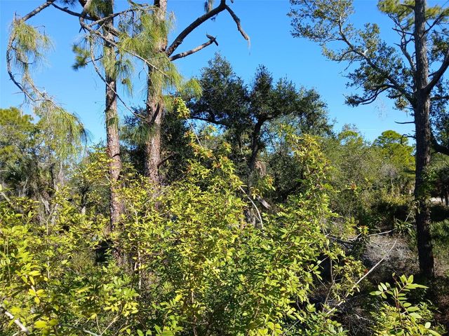 13493 MARKHAM AVENUE, Port Charlotte, FL 33953