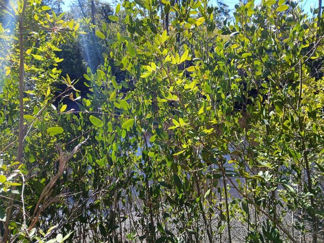 13493 MARKHAM AVENUE, Port Charlotte, FL 33953