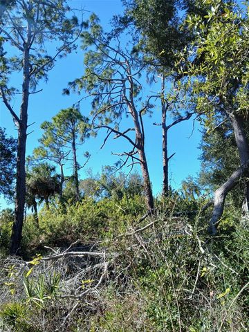 13493 MARKHAM AVENUE, Port Charlotte, FL 33953