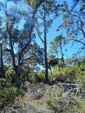 13493 MARKHAM AVENUE, Port Charlotte, FL 33953