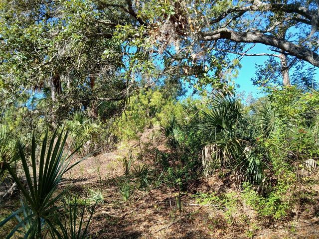 13493 MARKHAM AVENUE, Port Charlotte, FL 33953