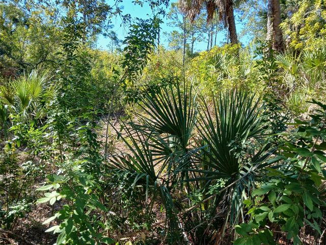 13493 MARKHAM AVENUE, Port Charlotte, FL 33953