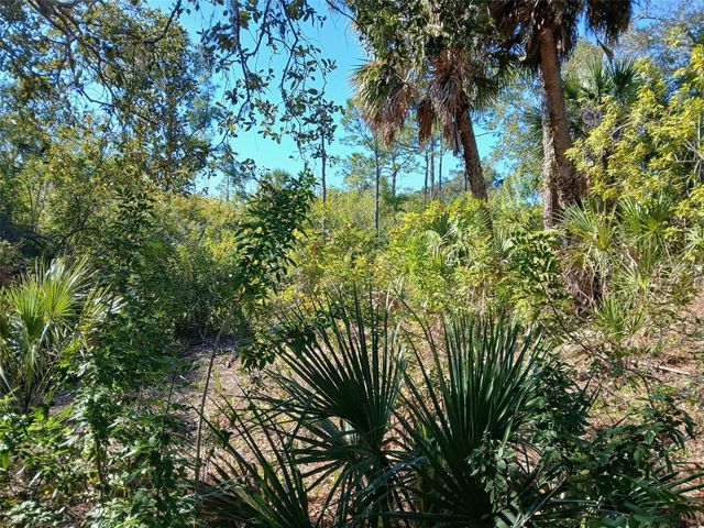 13493 MARKHAM AVENUE, Port Charlotte, FL 33953