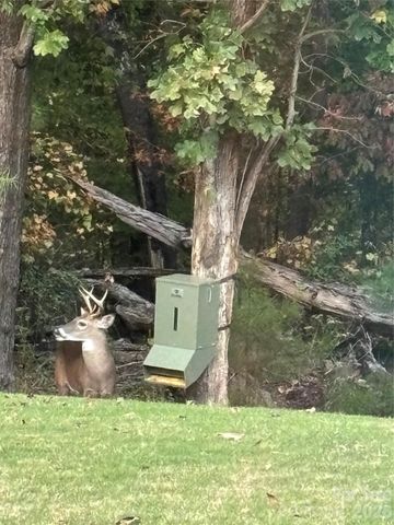 879 Tyne Drive, Fort Mill, SC 29715