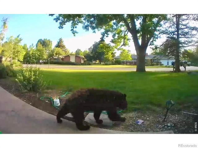 1120 Lindenwood Drive, Fort Collins, CO 80524