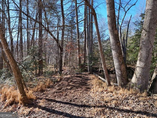 TRACT 1 Bauer Road, Hiawassee, GA 30546