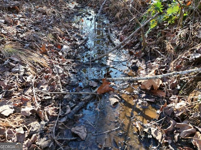 TRACT 1 Bauer Road, Hiawassee, GA 30546