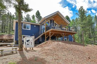 100 Wildcat Creek Drive, Florissant, CO 80816