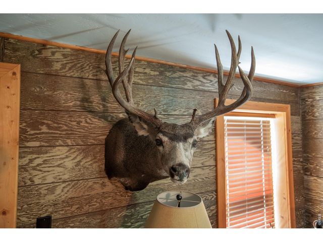18880 County Road 500, Pagosa Springs, CO 81147