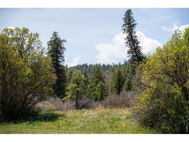 18880 County Road 500, Pagosa Springs, CO 81147