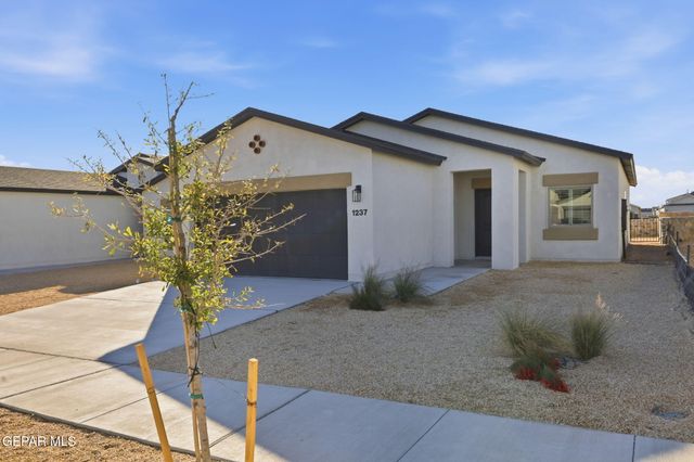 1237 Irish Summer Place, El Paso, TX 79928