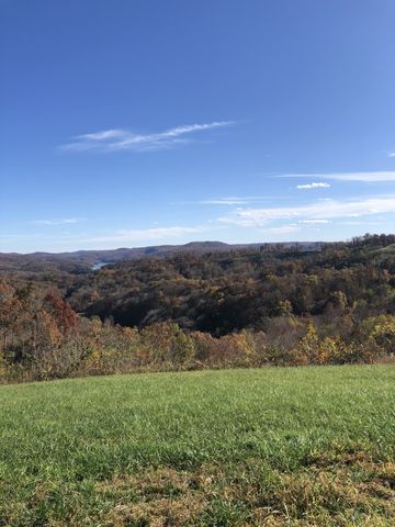 62A Catfish Ln, Celina, TN 38551