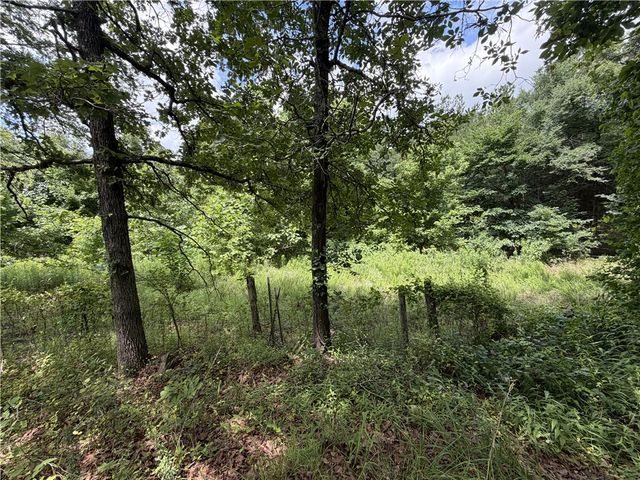 300 Jr Bailey Lane, Dover, AR 72837