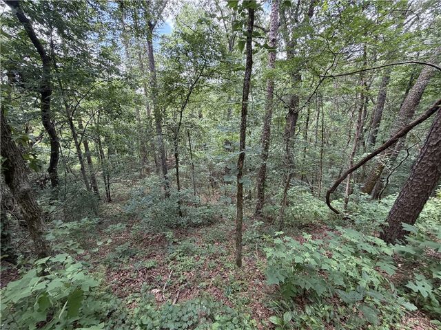 300 Jr Bailey Lane, Dover, AR 72837