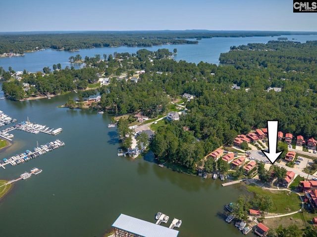 163 Marina Cove Drive, Gilbert, SC 29054