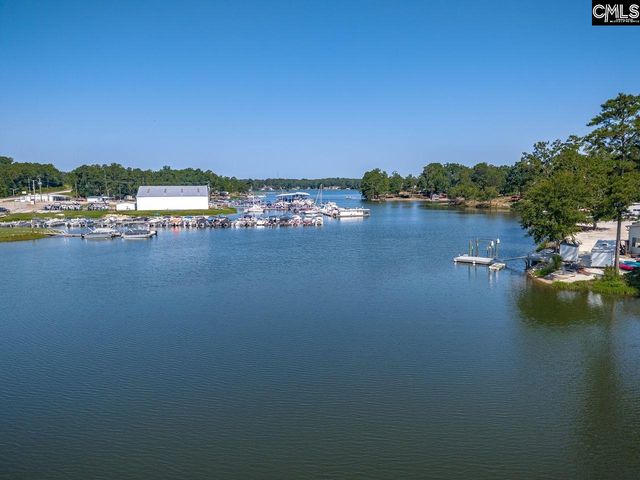 163 Marina Cove Drive, Gilbert, SC 29054