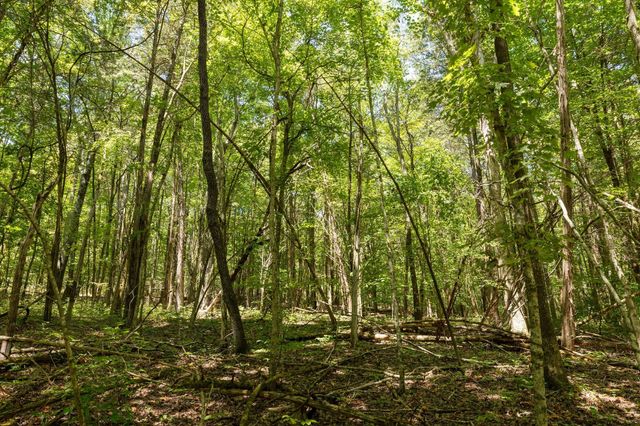 0 Shapiro Trail, Columbia, TN 38401