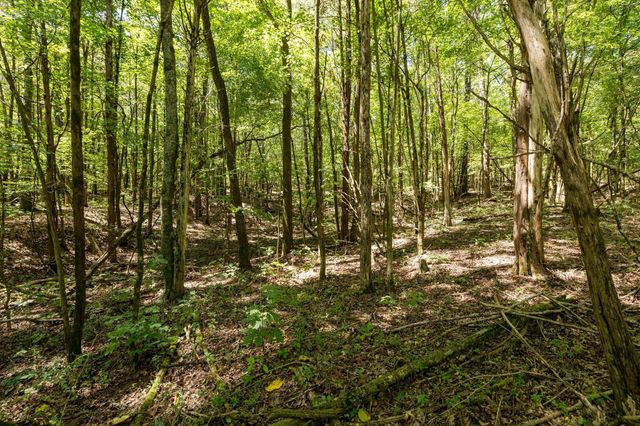 0 Shapiro Trail, Columbia, TN 38401