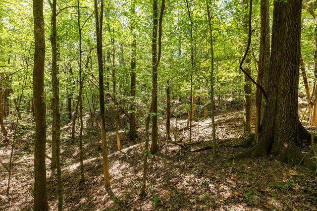 0 Shapiro Trail, Columbia, TN 38401