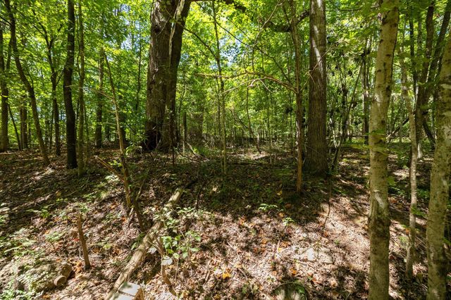 0 Shapiro Trail, Columbia, TN 38401