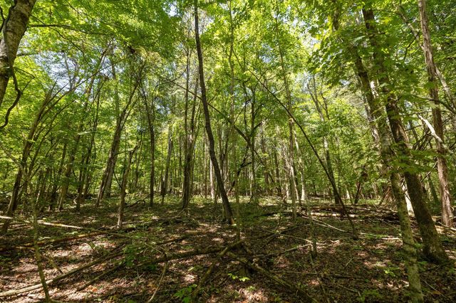 0 Shapiro Trail, Columbia, TN 38401