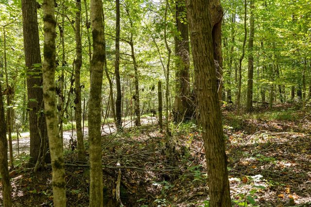 0 Shapiro Trail, Columbia, TN 38401