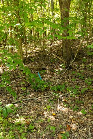 0 Shapiro Trail, Columbia, TN 38401