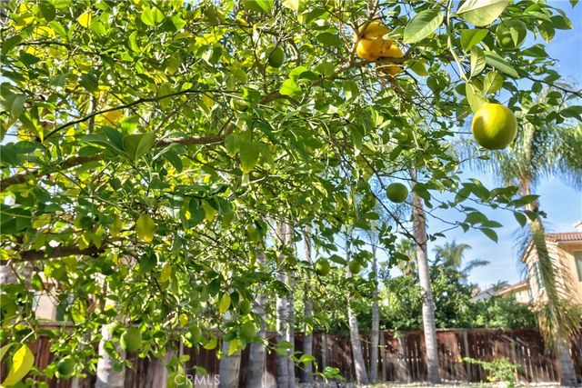 29419 Shady, Murrieta, CA 92563