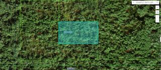 COMMONWEALTH AVE N, Polk City, FL 33868