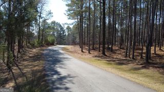 1041 Shadow Creek Way, Greensboro, GA 30642