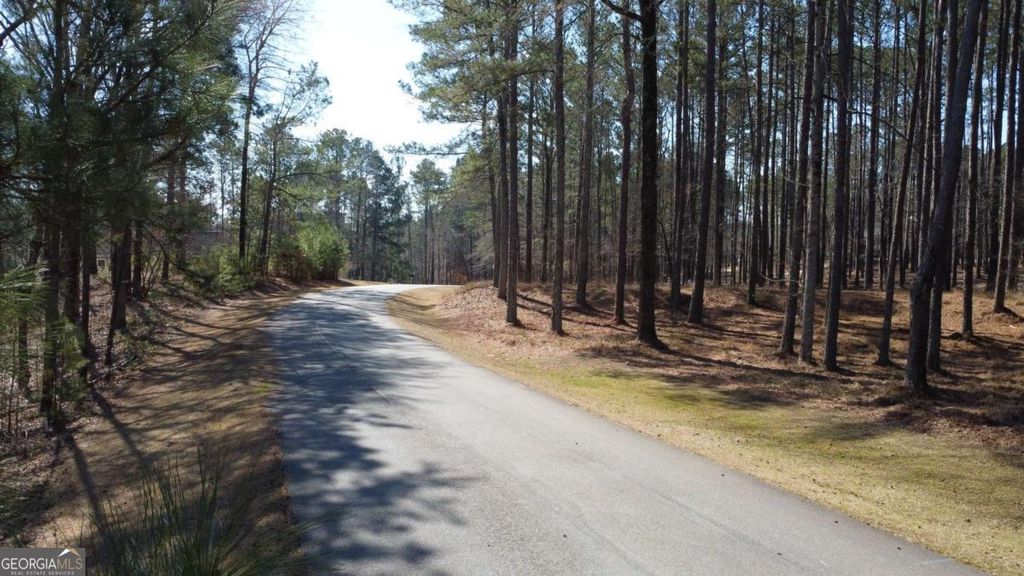 1041 Shadow Creek Way, Greensboro, GA 30642