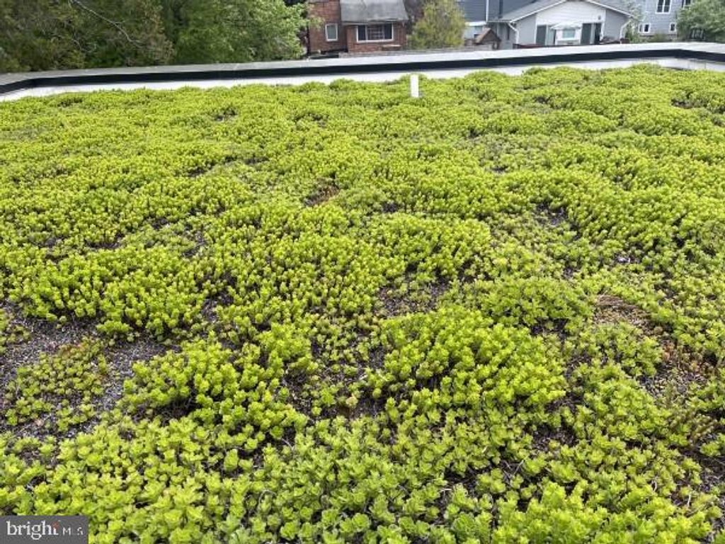 Image 49 of property listing at 2617 N NOTTINGHAM ST, Arlington, VA 22207