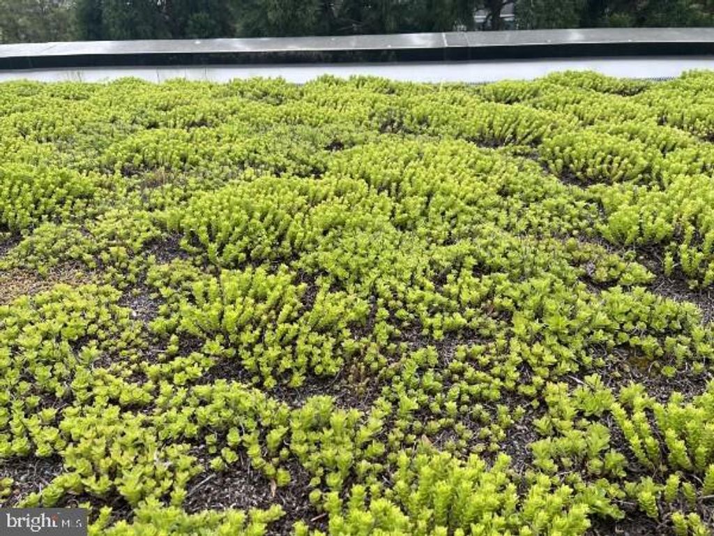 Image 50 of property listing at 2617 N NOTTINGHAM ST, Arlington, VA 22207