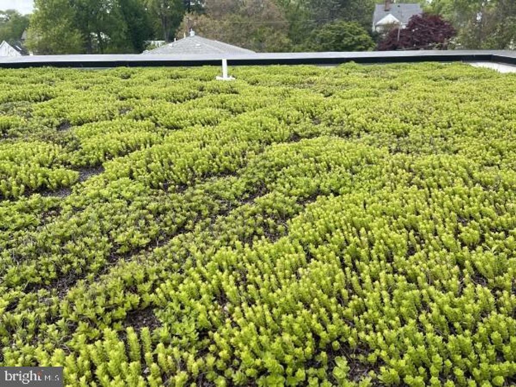 Image 51 of property listing at 2617 N NOTTINGHAM ST, Arlington, VA 22207