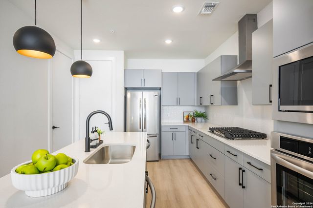 719 E Locust St Unit 3106, San Antonio, TX 78212