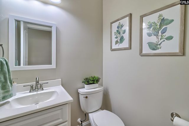 433 Oxenbridge Way, Chapin, SC 29036