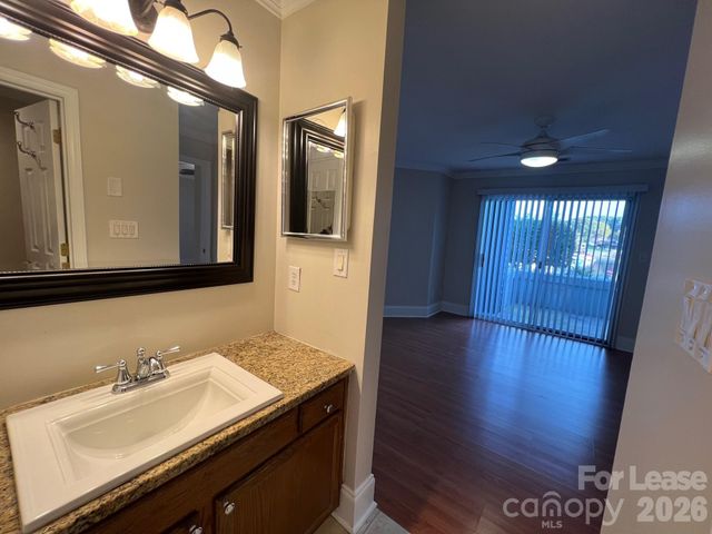 18733 Vineyard Point Lane, Cornelius, NC 28031