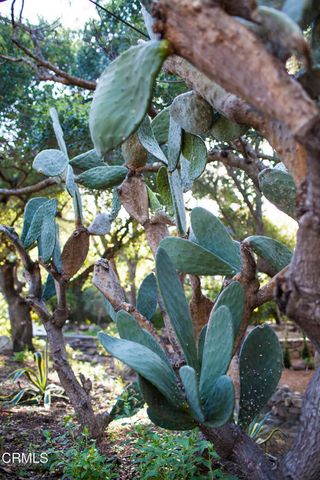 4222 Thacher Road, Ojai, CA 93023