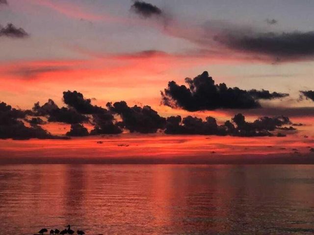 223 Sombrero Beach Boulevard 1, Marathon, FL 33050