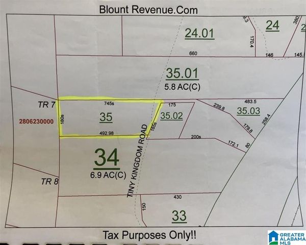 TINY KINGDOM ROAD, Remlap, AL 35133
