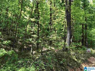 TINY KINGDOM ROAD, Remlap, AL 35133