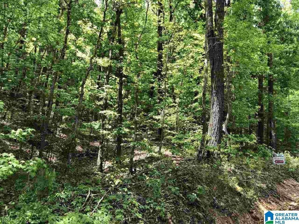 TINY KINGDOM ROAD, Remlap, AL 35133